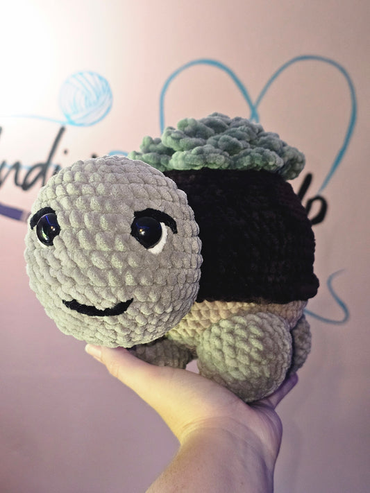 Succulent Turtle